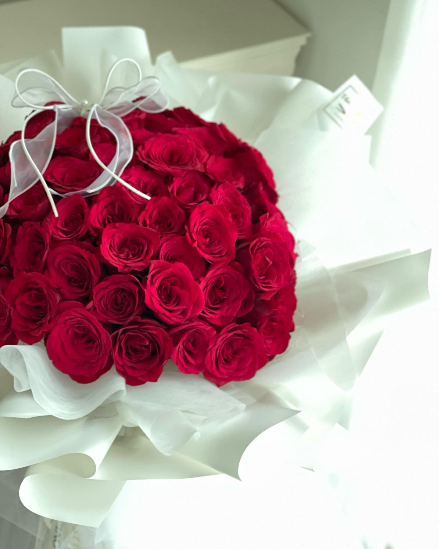 52 Proposal India Red Rose