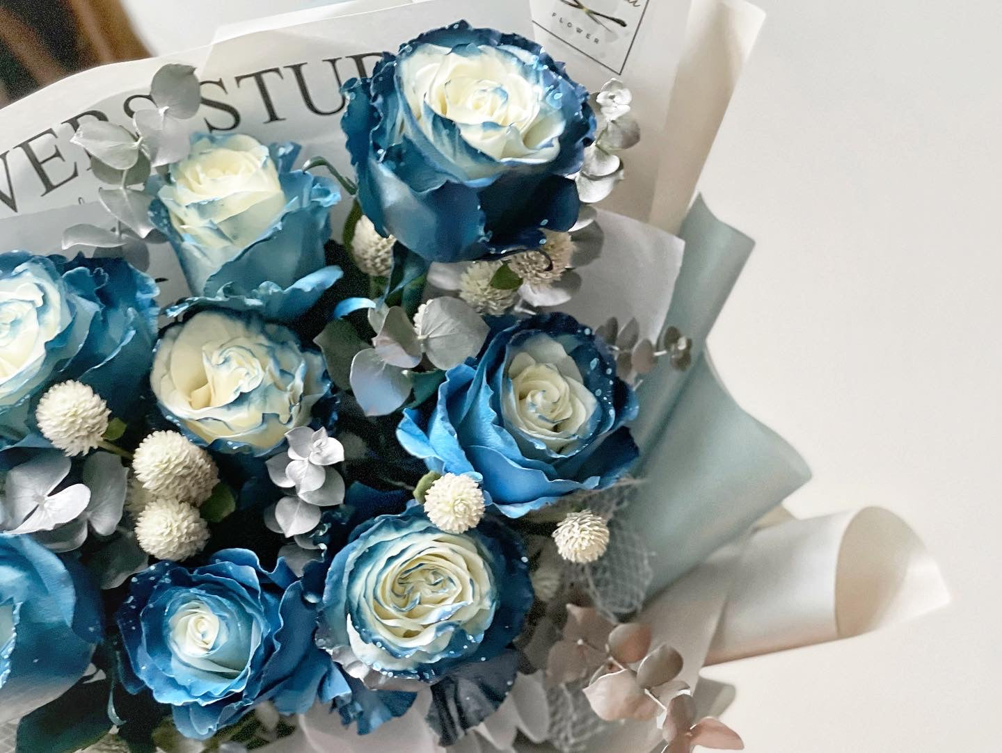 Ecuador Milkyway Rose