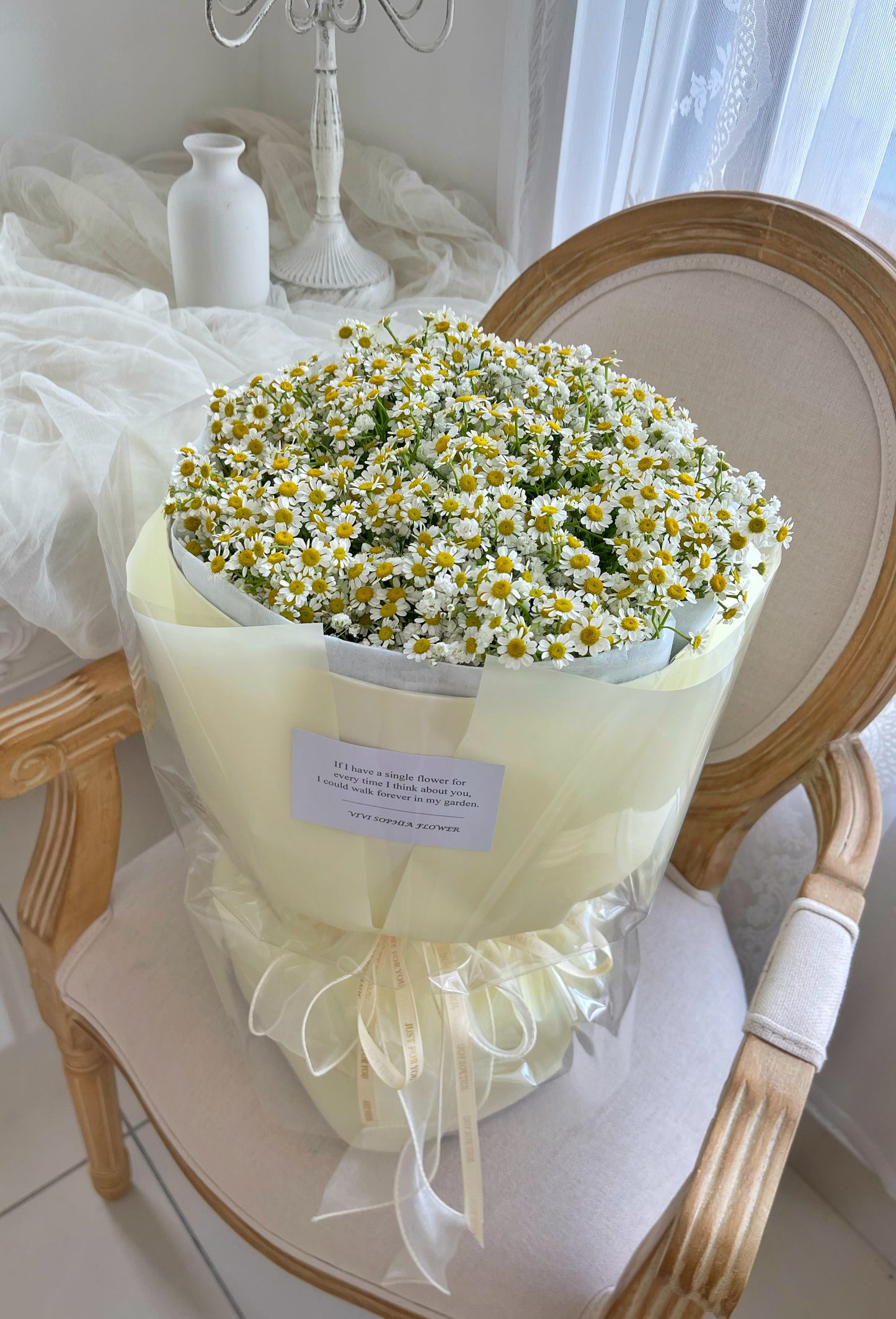 Matricaria M size