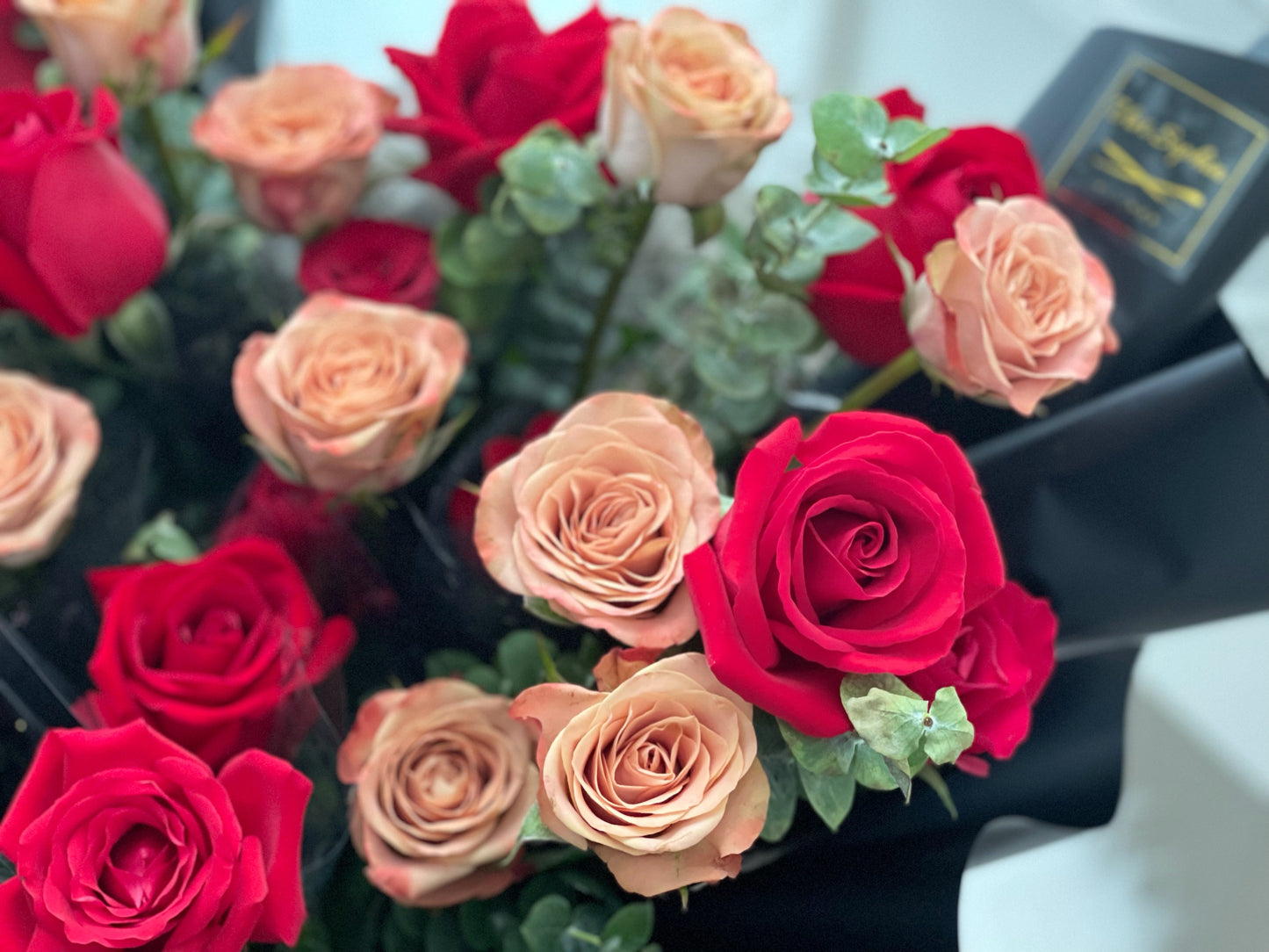 Cappuccino & Red roses with big ribbon