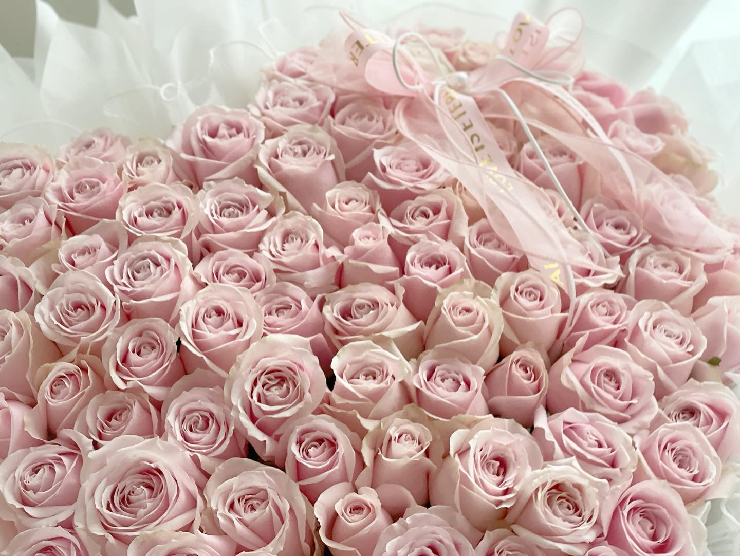 99 Pink Roses