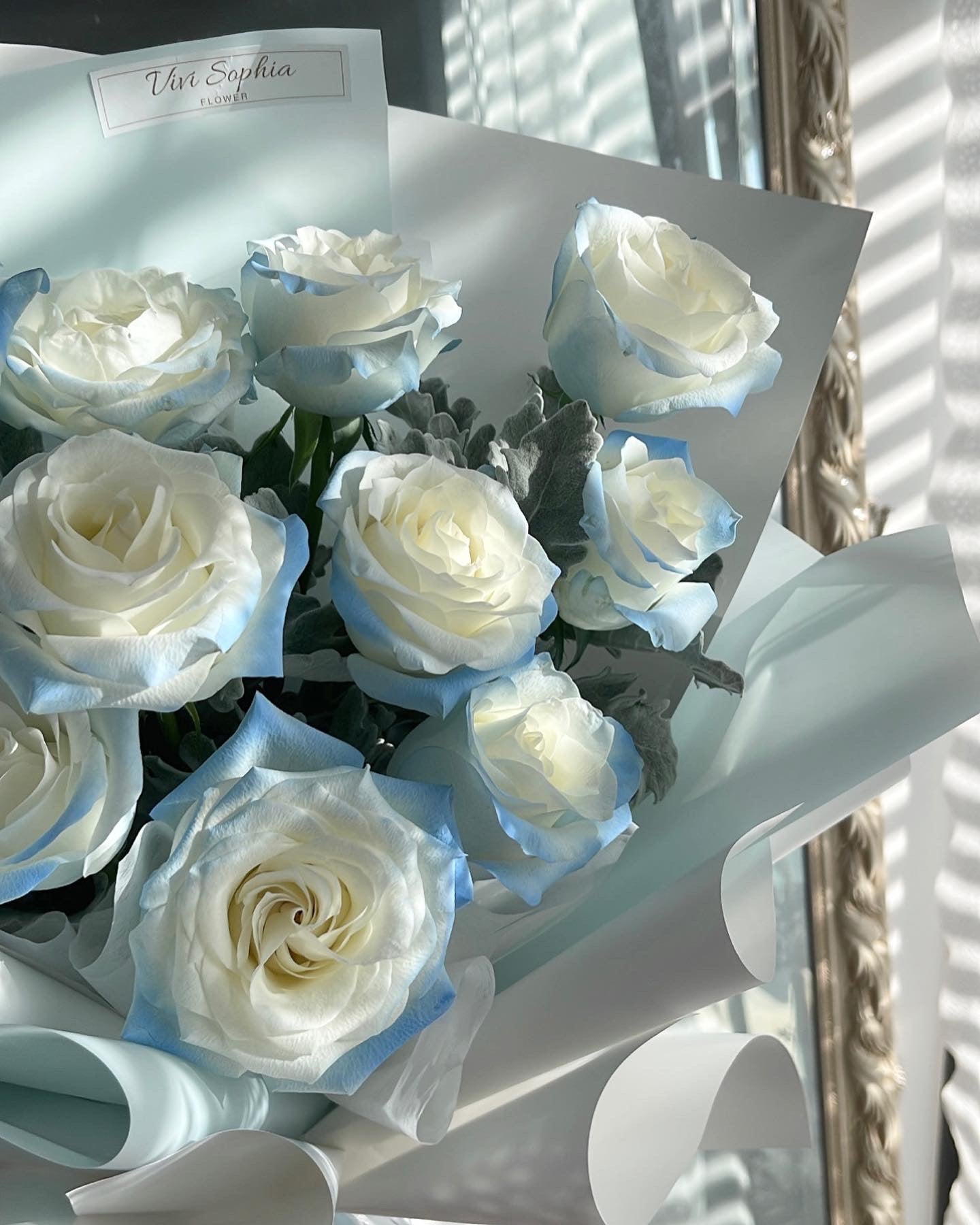 Ice Blue Rose