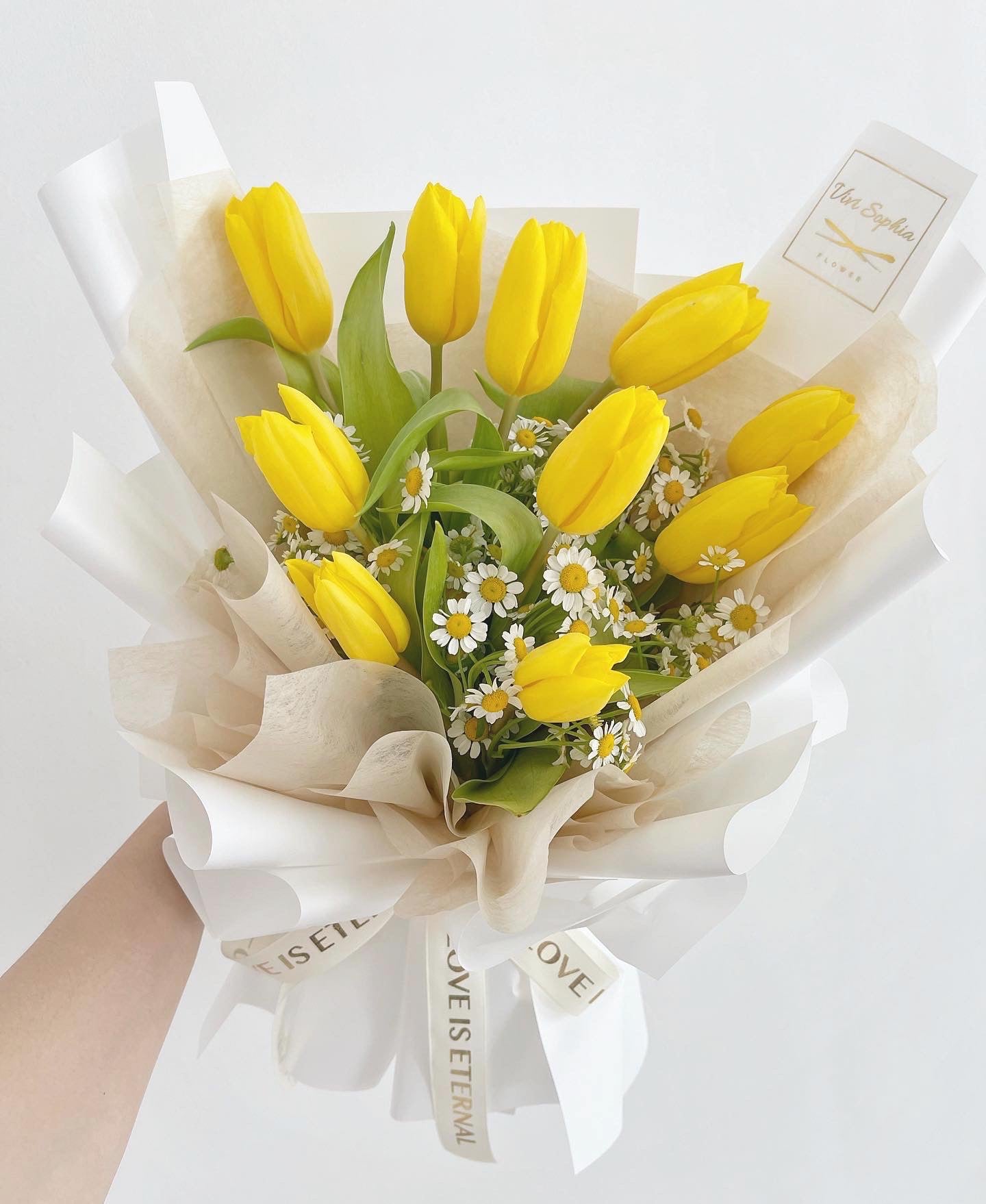 Yellow Tulips with matricaria
