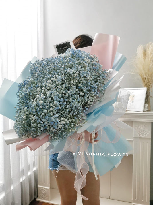 Baby breath blue colour L size