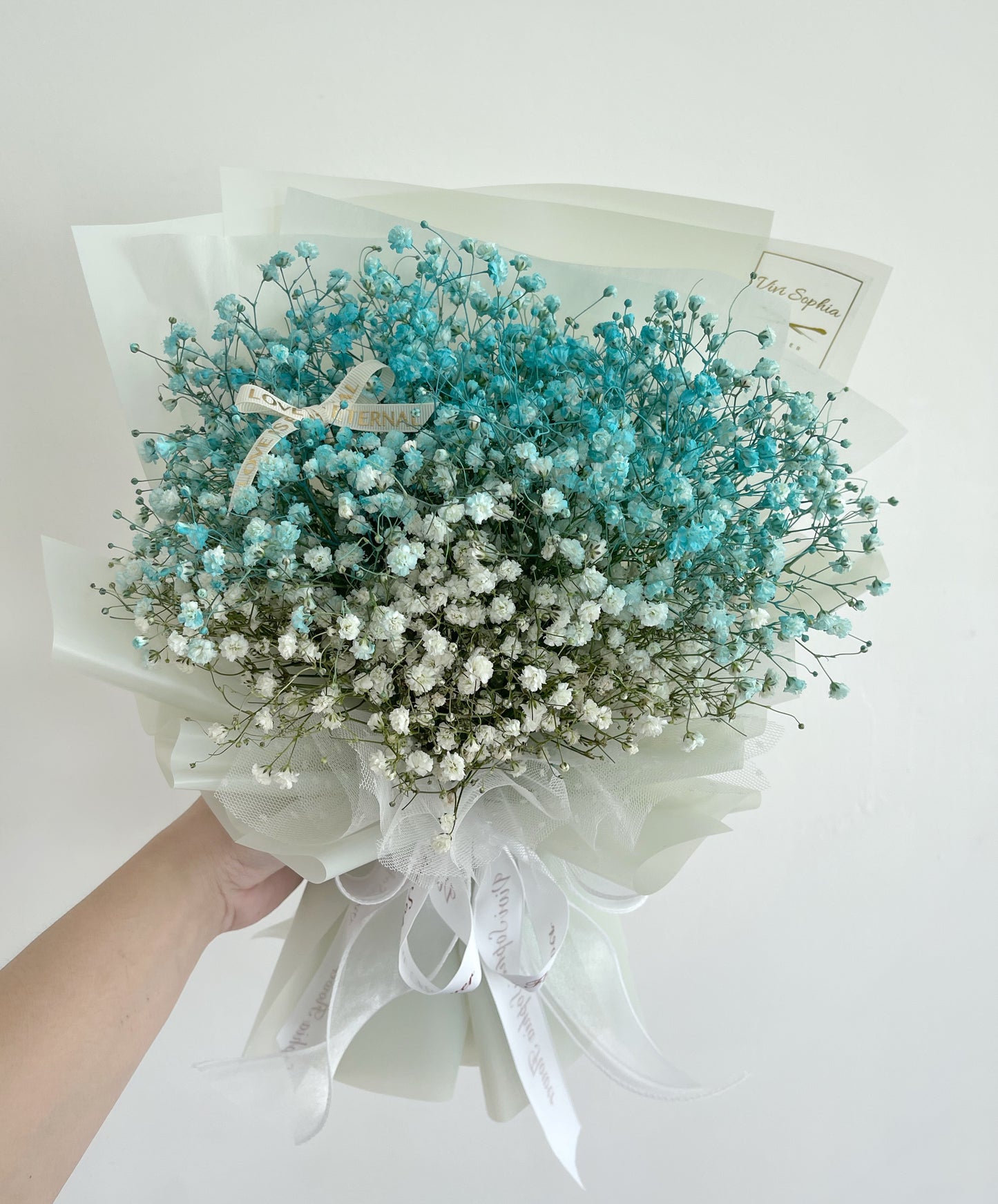 Baby breath Tiffany blue colour S size