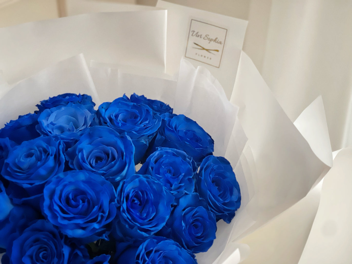 20 Ecuador Deep Blue Rose