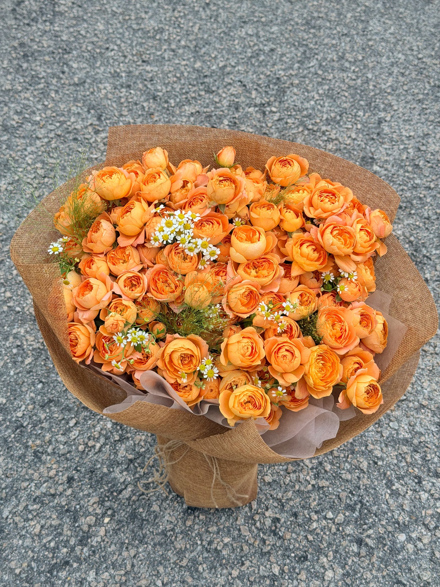 Rose spray M size