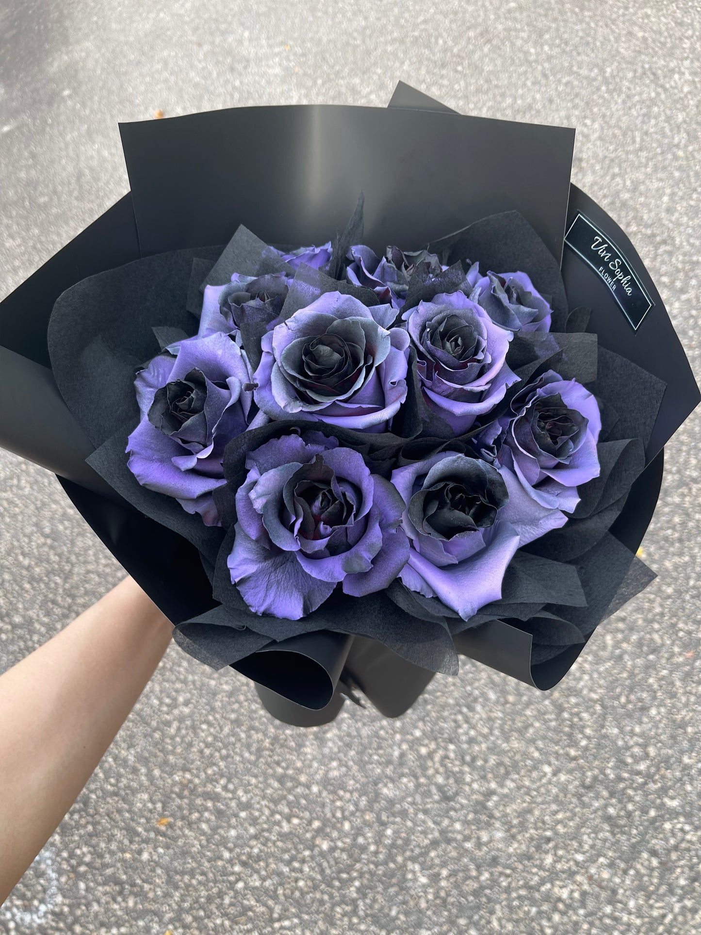 Premium Black purple Rose